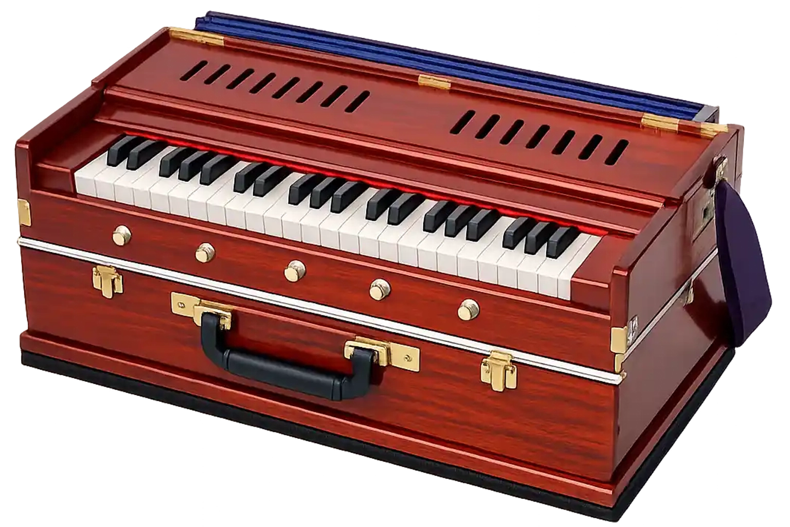 A student playing harmonium in an online class
